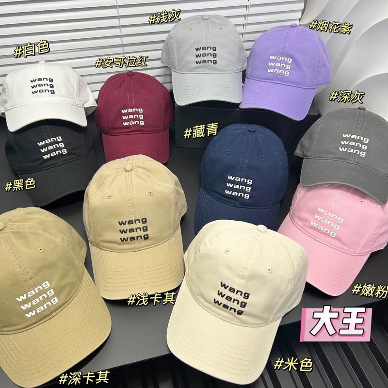 Alxander Wang cap dx19